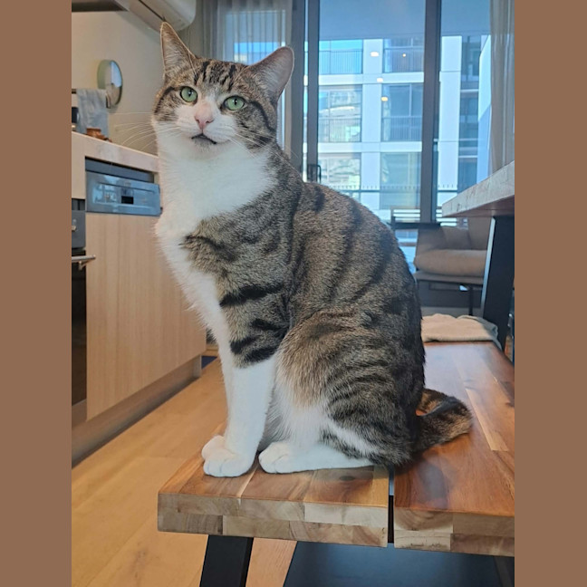 Photo of Billy