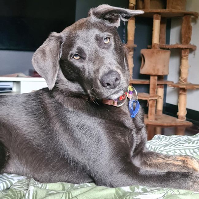 Photo of Tilly
