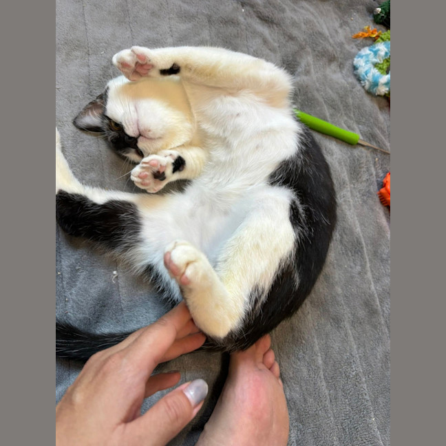 Photo of Luna