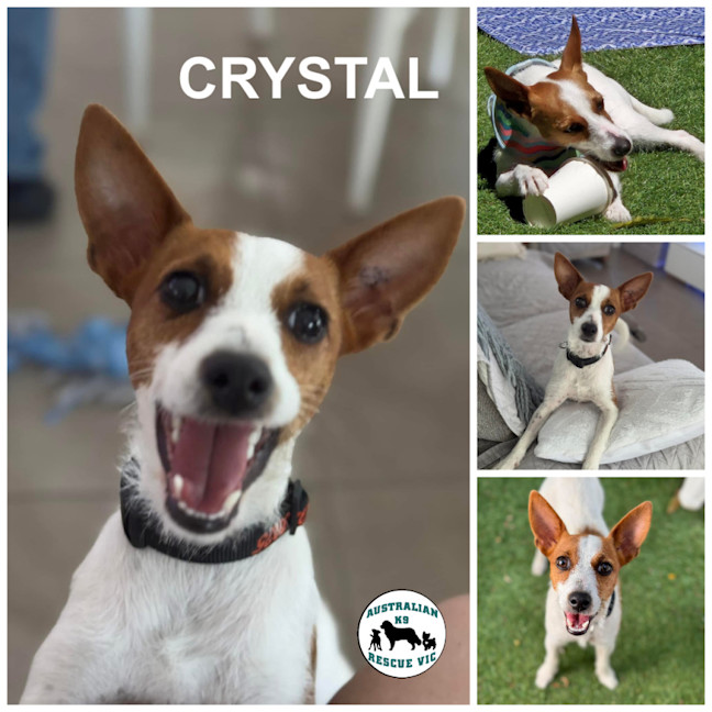 Photo of Crystal 