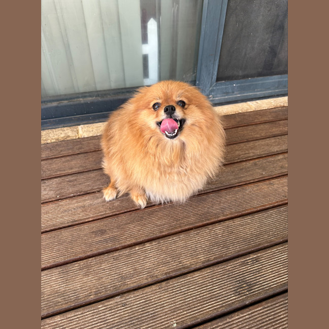 Photo of Pinky