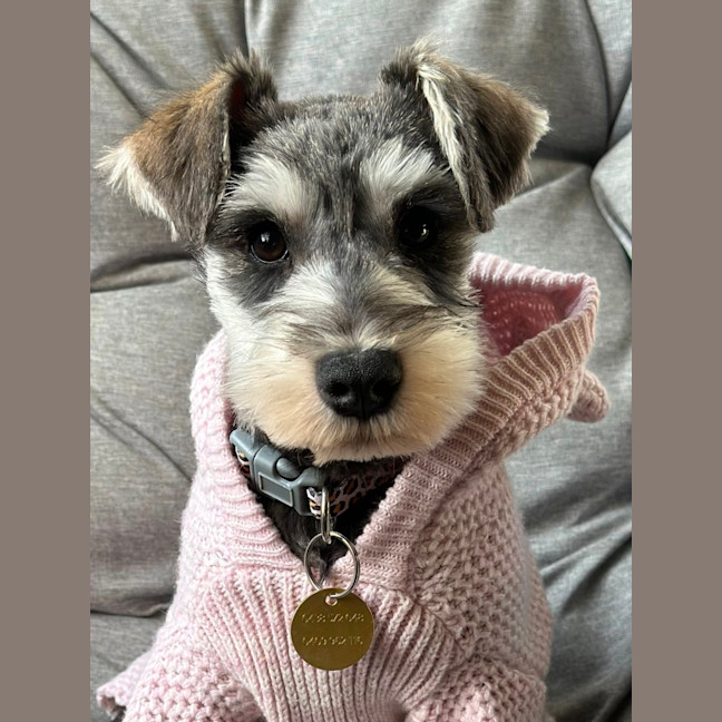 Photo of Hizzee