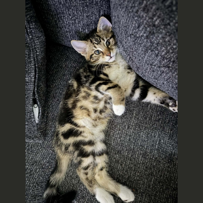 Photo of Tyrone & Miranda