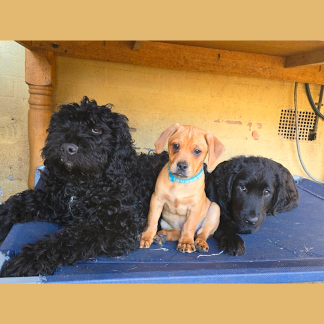 Photo of Prince Edward 