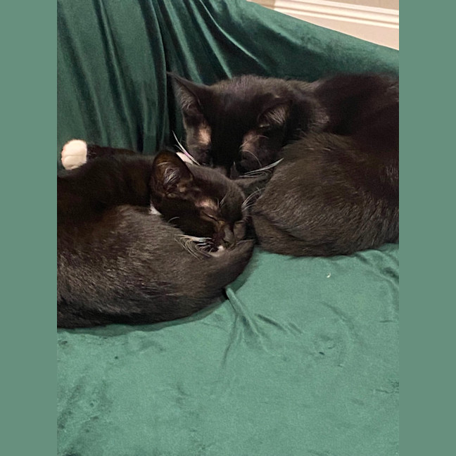 Photo of Baby & Belle