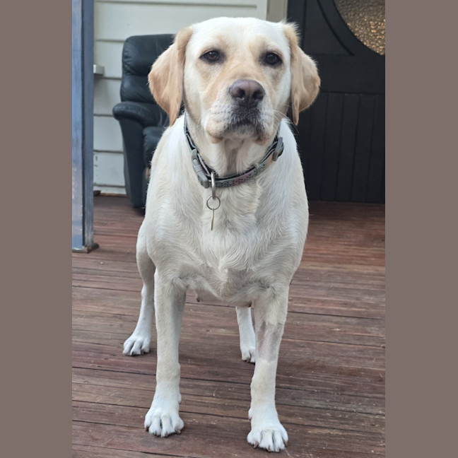 Photo of Hayleywaley