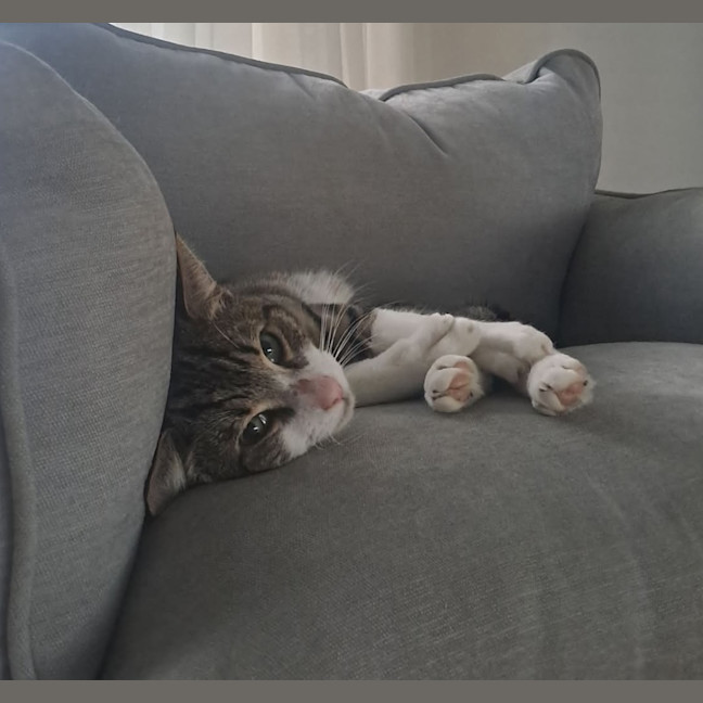 Photo of Billy