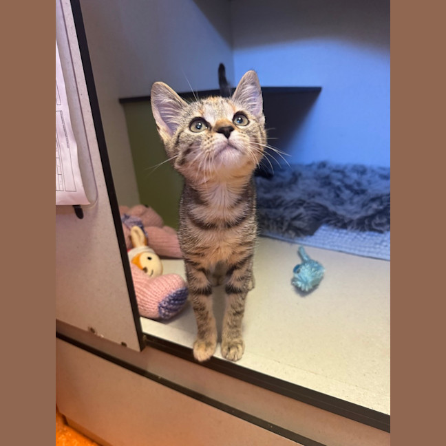 Photo of Tabitha