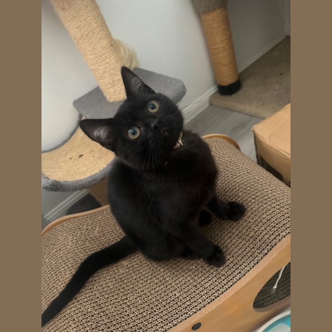 Photo of Freya