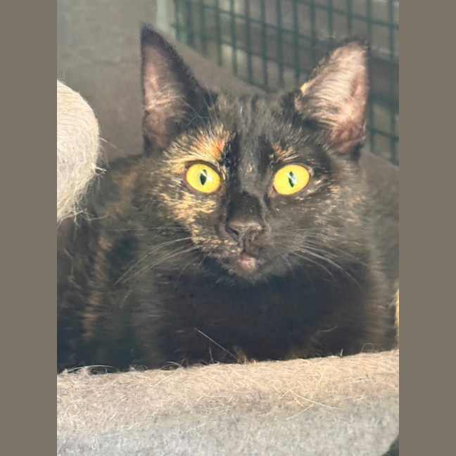 Photo of Wednesday