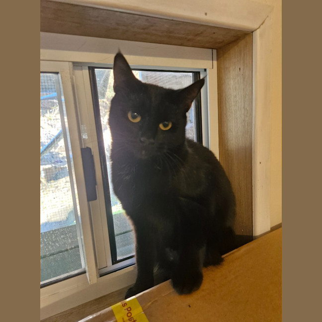 Photo of Trinity   Mowbray