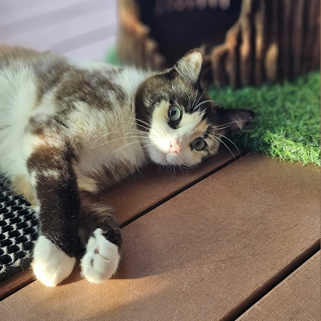 Photo of Miss Marbles