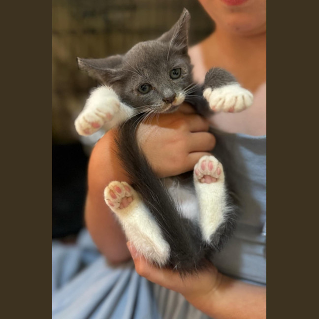 Photo of Dasher 🦌