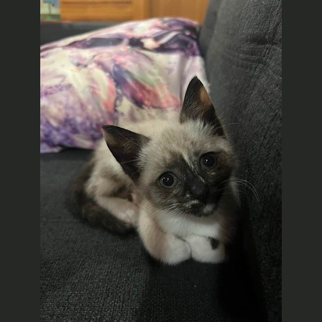 Photo of Riff