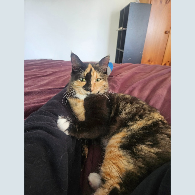 Photo of Sophie