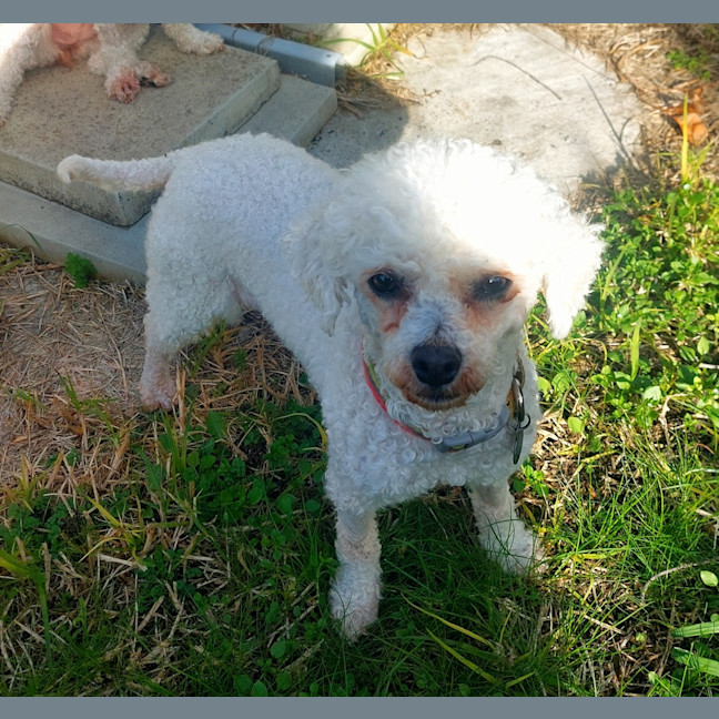 Photo of Tess