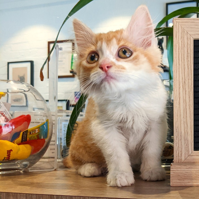Photo of Rupert
