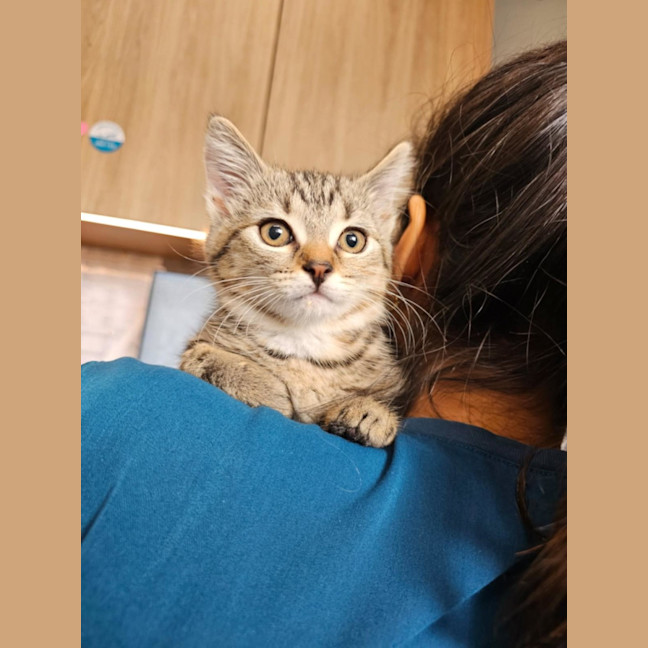 Photo of Margot   Located In Templestowe