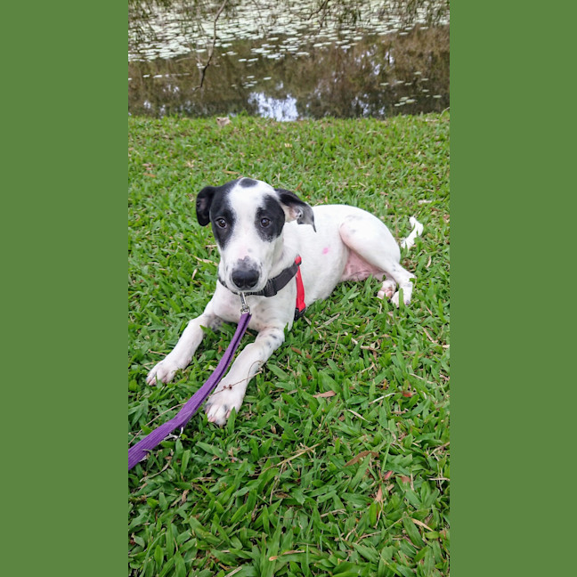 Photo of Busta