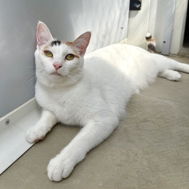 Photo of Lilly