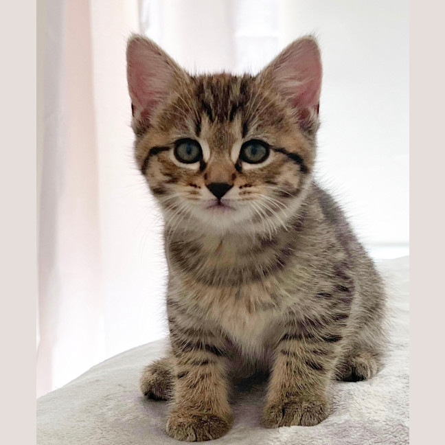 Photo of Navia & Rayne 