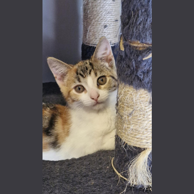 Photo of Lila 🌈☀️