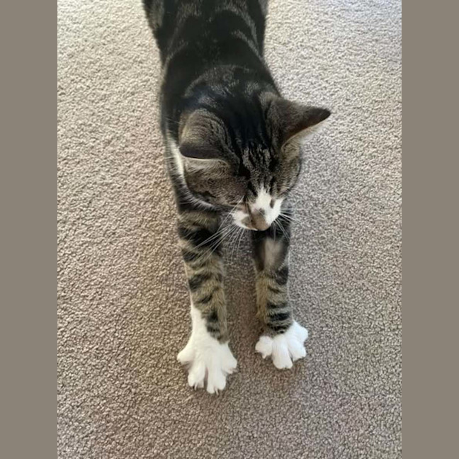 Photo of Ernie