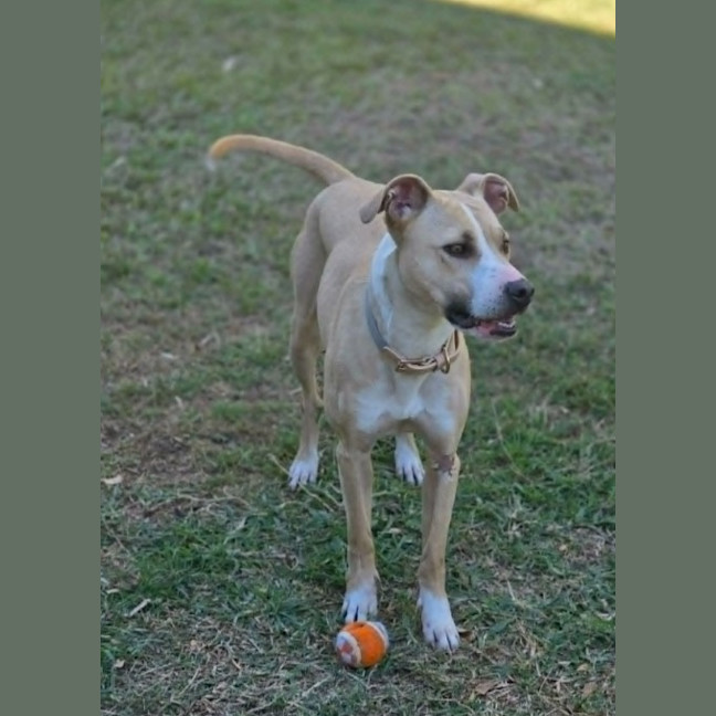 Photo of Lilly