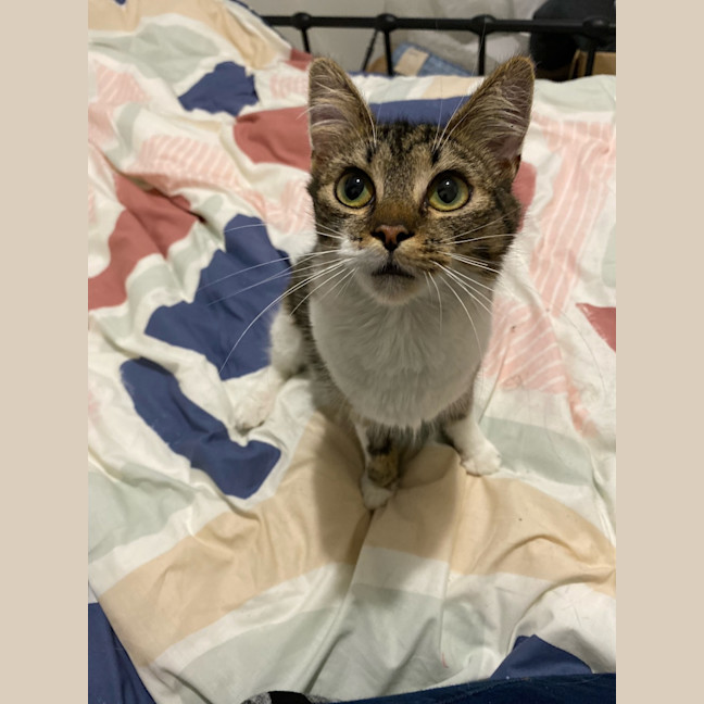 Photo of Audrey