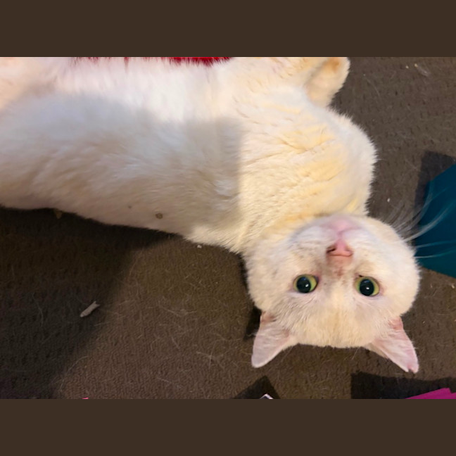 Photo of Milton