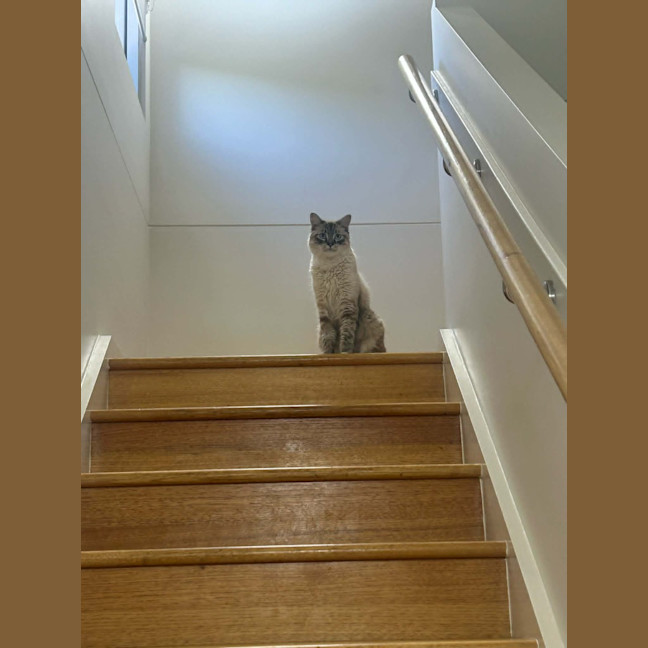 Photo of Sailor