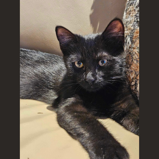 Photo of Harley & Batman 