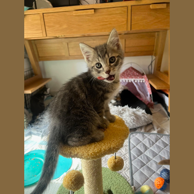 Photo of Roll
