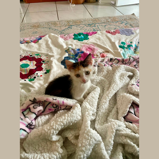 Photo of Penelope