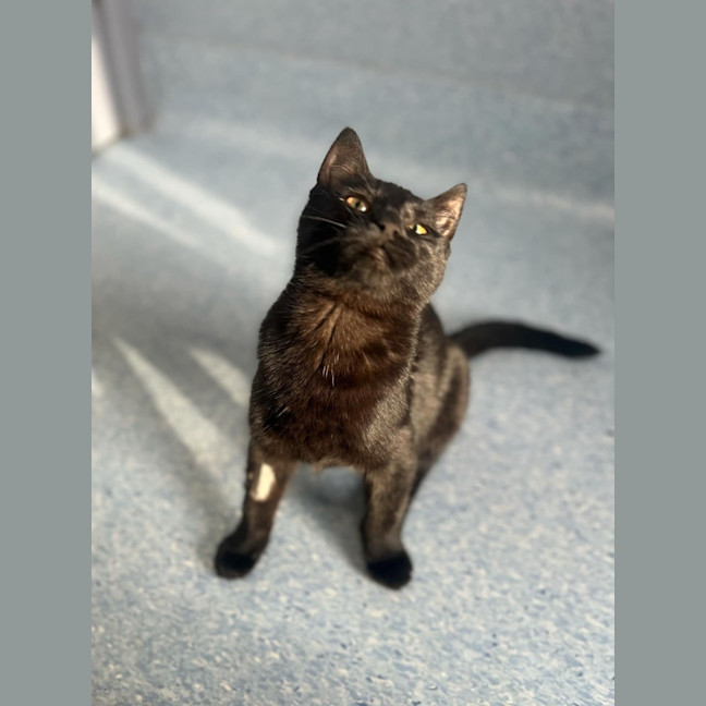 Photo of Sabrina   Located In Kew