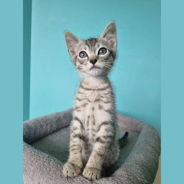 Photo of Calvin