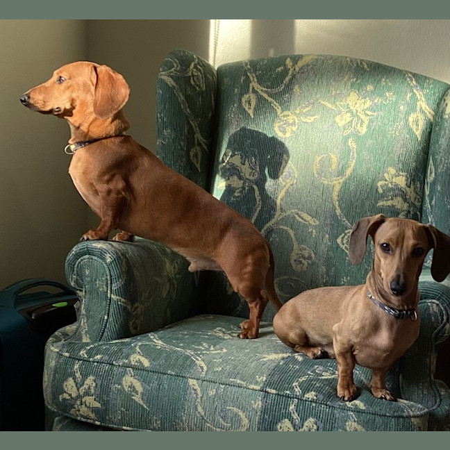 Photo of Max And Ace