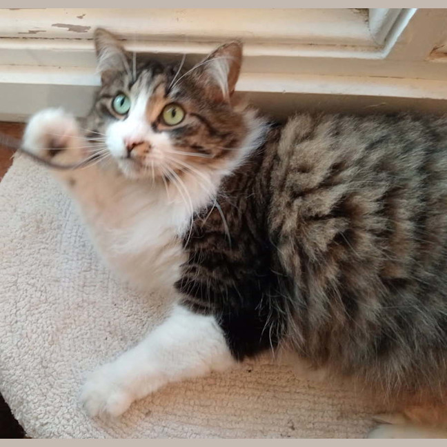 Photo of Ms. Ida Mae