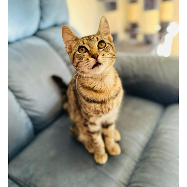 Photo of 13706   Dave