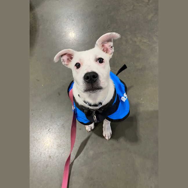 Photo of Ellie