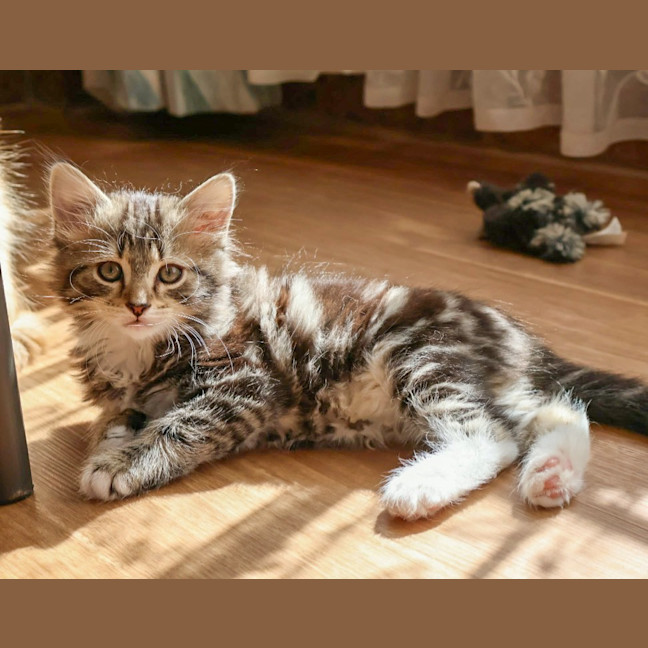 Photo of Max