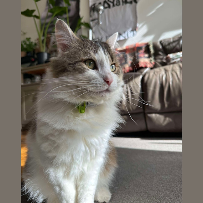Photo of Reginald 