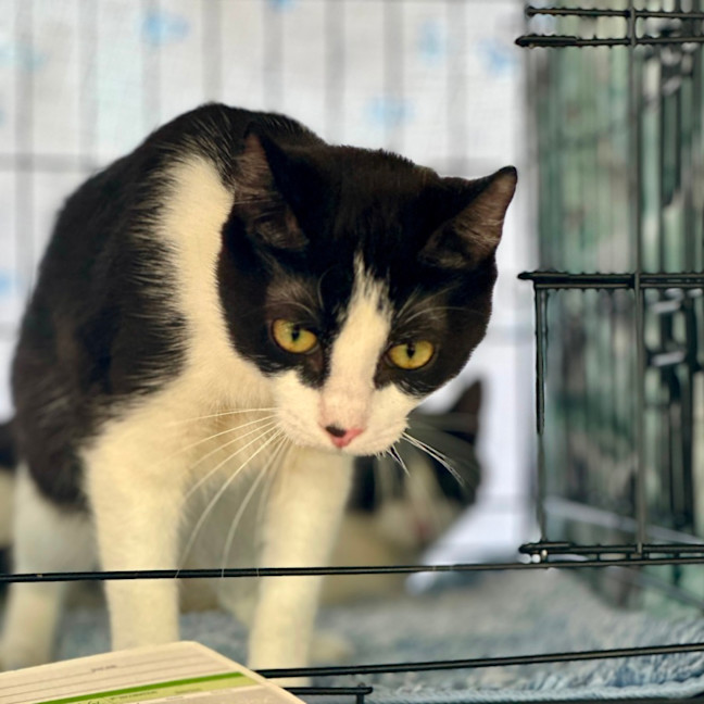 Photo of Meg And Amy