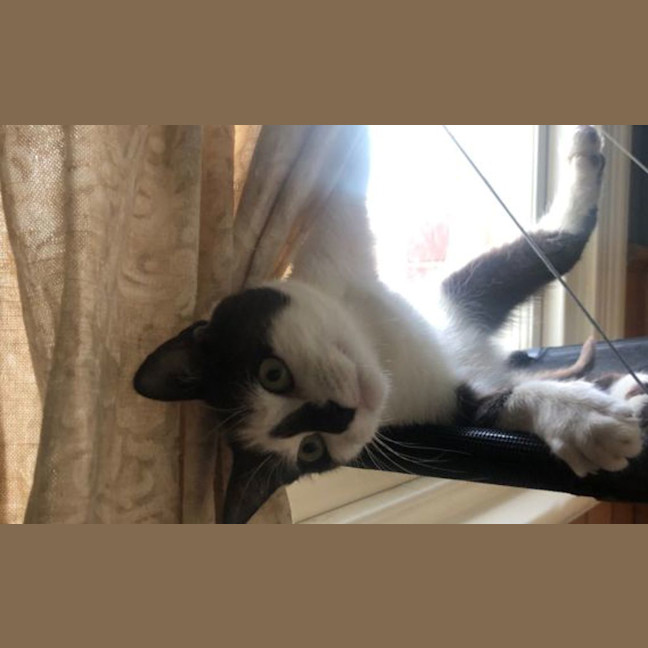 Photo of Didi