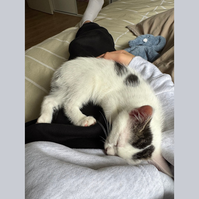 Photo of Bean And Biscuit