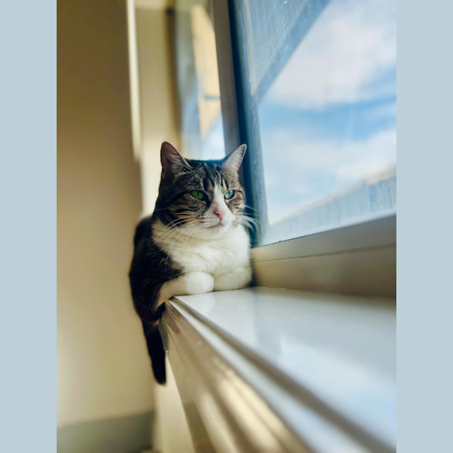 Photo of Pia   Located In Doreen