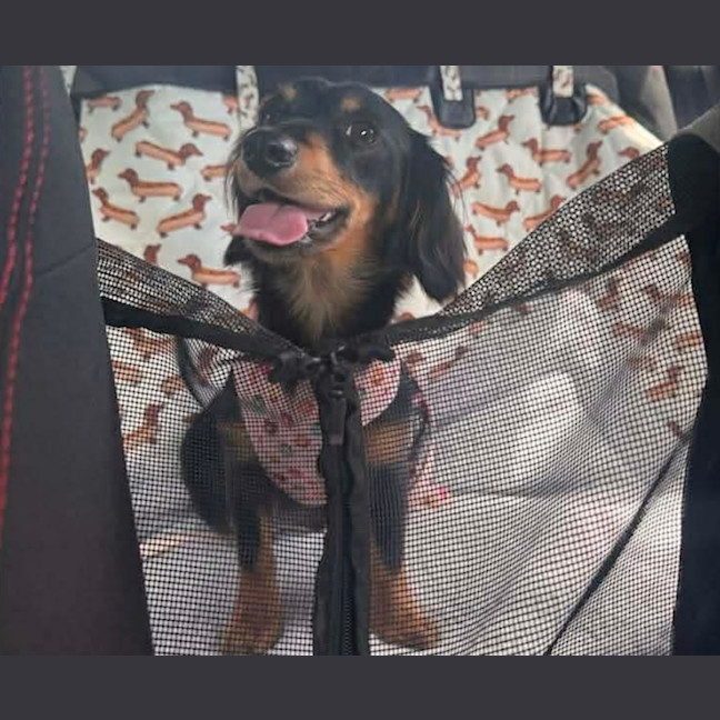 Photo of Mabel