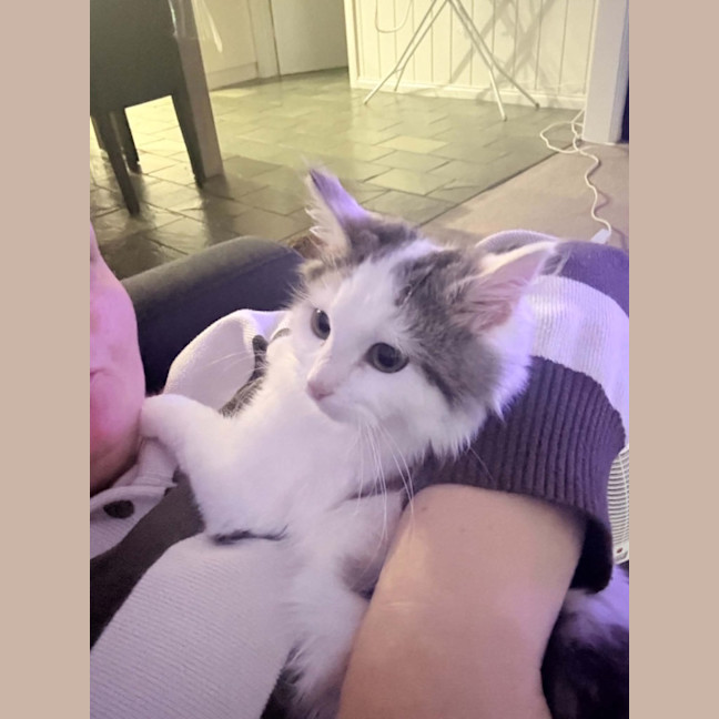 Photo of Kevin 