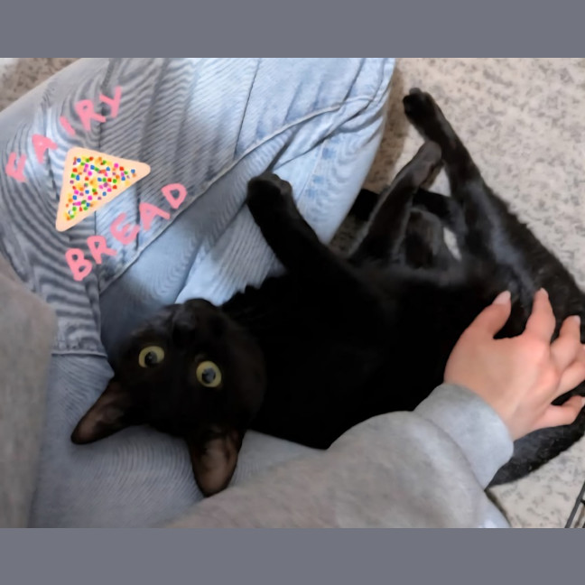 Photo of Fairy Bread