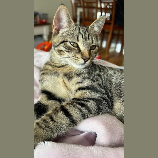 Photo of Tina